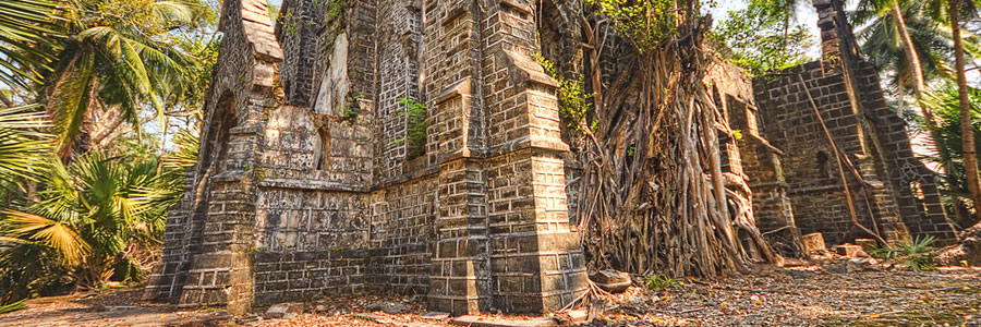 6 day tour of Port Blair, Havelock and Neil Island